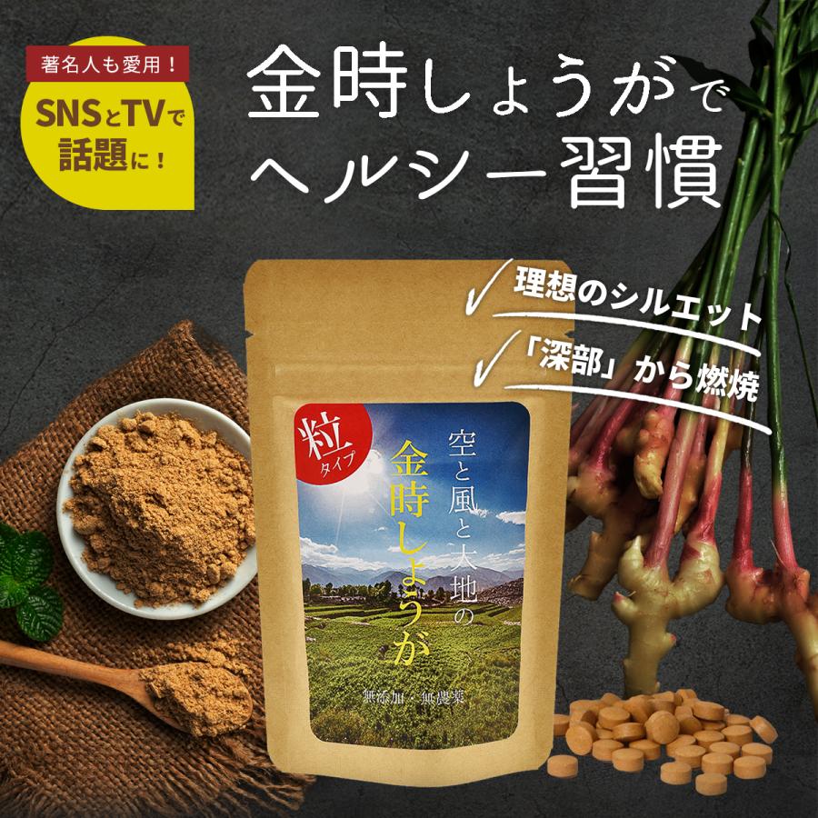 金時しょうが 粒タイプ 120粒 無添加・無農薬栽培された純粋な金時ショウガを使用！