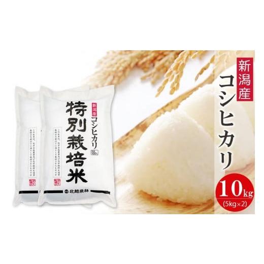 ふるさと納税 新潟県 新潟産コシヒカリ 特別栽培米10kg  新潟県認証米 令和5年産