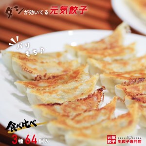 元気餃子のこだわり餃子3種セット（64個入り 冷凍生餃子）