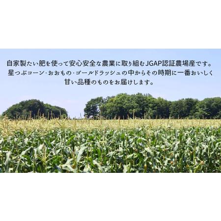 ふるさと納税  茨城県 桜川市産 農家直送 朝採れ とうもろこし 10〜12本 約4kg 2Lサイズ以上  2024年7月上旬発送開始  .. 茨城県桜川市