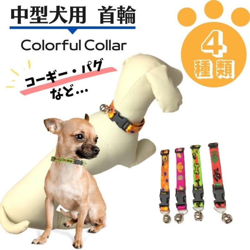 中型犬用／カラフルな首輪（トイプードル・Mダックス など）ペット用品