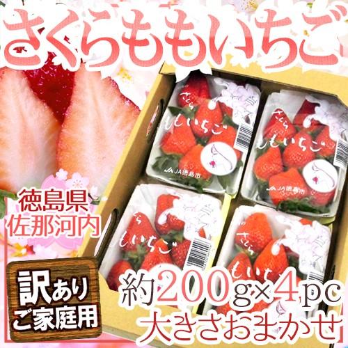 徳島県佐那河内村 ”さくらももいちご” 訳あり 約200g×4pc ワケ待ち 送料無料