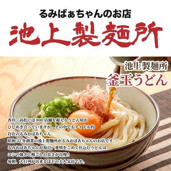 送料無料 池上製麺所 讃岐生うどん 180g×2袋 得トクセール 食品 ポイント消化 お試し うどん 取り寄せ ご当地グルメ