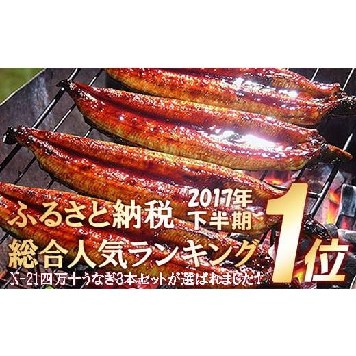 ふるさと納税 高知県 四万十町 四万十 うなぎ 蒲焼き セット 220g (110g×2本) Esu-A92　国産 名店 食べ方 調理済み うな重・ひつまぶしに タレ付き 山椒付き …