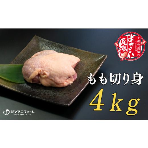 ふるさと納税 高知県 大月町 よさこい尾鶏 もも肉（200ｇ）×20パック