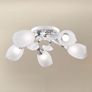 時尚半吸頂五燈 B96-64-73924