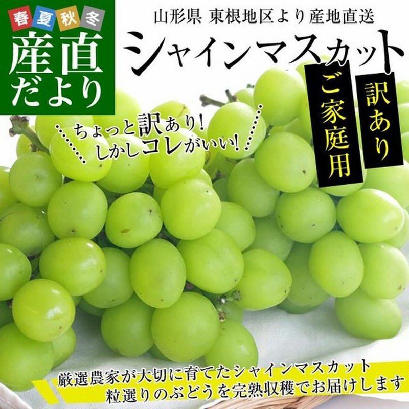 山形県より産地直送 山形産 ご家庭用 訳あり シャインマスカット たっぷり2キロ 3房から5房 通販 Lineポイント最大0 5 Get Lineショッピング