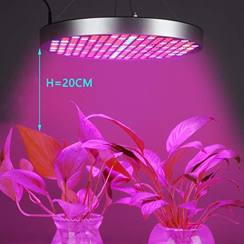 植物育成ライト led 植物 ランプ 500W相当 円形 赤・青2色混合チップ 光補足 内蔵ファン 高散熱 省エネ 長寿命 育苗機 野菜 植物工