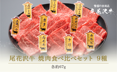 焼肉 尾花沢牛 A4-5 焼肉食べ比べセット 9種 約3～4人前 (牛肉 焼肉 黒毛和牛 国産 焼肉 山形牛 焼肉セット 食べ比べ焼肉セット 和牛焼肉 焼肉盛合せ 焼肉 バーベキュー 焼肉 nj-og9ys)