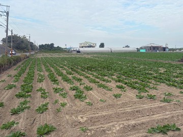 安南區學東國小近佃北重劃區旁農地1｜台南市安南區公學路五段