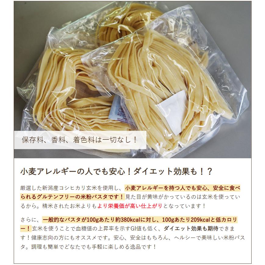 グルテンフリー アレルギー対応食品 新潟産コシヒカリ玄米で作った 半生パスタ「Natura」 フェットチーネ 平打麺（7mm）18袋 米粉麺 送料無料