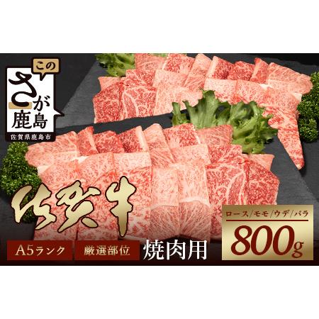 ふるさと納税 A5等級 佐賀牛 焼肉用 800g(400g×2P)佐賀牛ロース 佐賀牛モモ 佐賀牛ウデ 佐賀牛バラ.. 佐賀県鹿島市