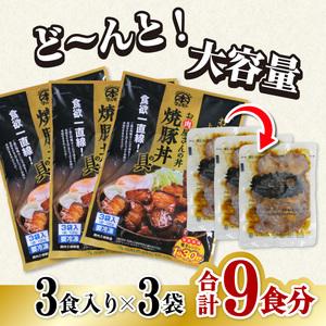 ふるさと納税 お肉屋さんの丼 焼豚丼の具 9食分 100g×9袋 レンチン どんぶり 味付け肉 夜食 夕食 簡単調理 徳島県海陽町