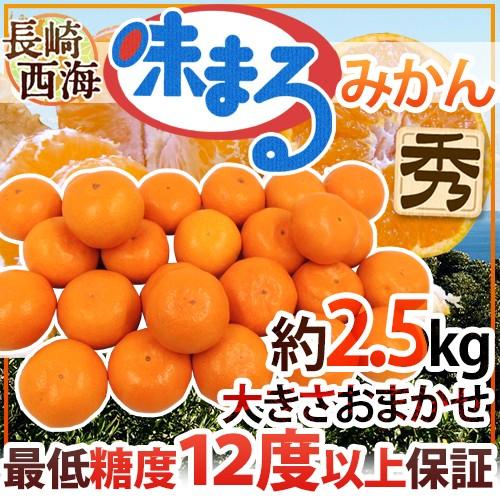 みかん 長崎 西海 ”味まるみかん” 秀品 約2.5kg 大きさおまかせ 最低糖度12度保証 送料無料