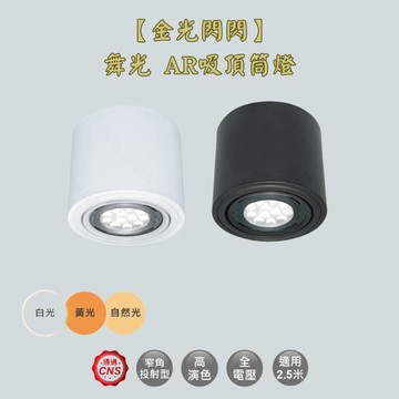 【金光閃閃】舞光 附14W光源 AR吸頂筒燈 吸頂燈 (含燈)
