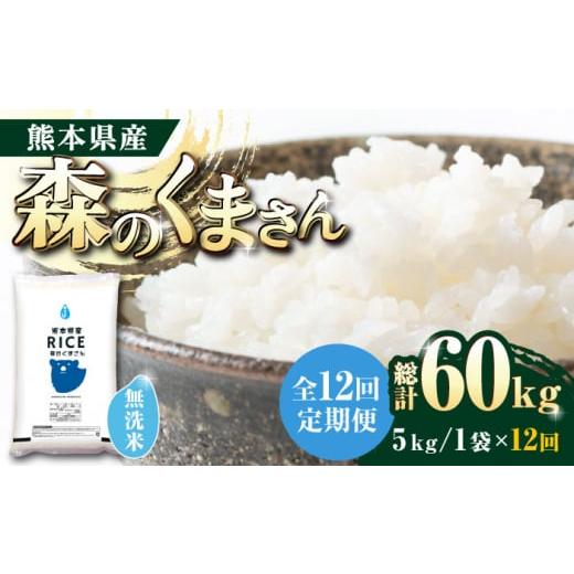 ふるさと納税 熊本県 山鹿市 森のくまさん 無洗米 5kg5kg 無洗米 精米 森のくまさん 特産品 コメ 米 お米…