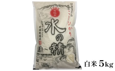 有機米こしひかり「水の精」白米5kg