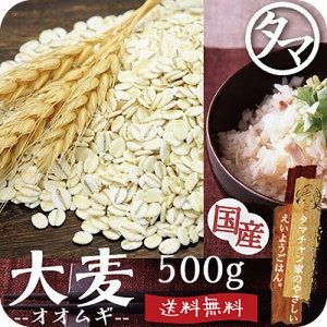 九州産 大麦（押し麦）500g (250g×2袋)　食べる食物繊維の宝庫な食材。注目される第6の栄養素とされる食物繊維を豊富に含ん