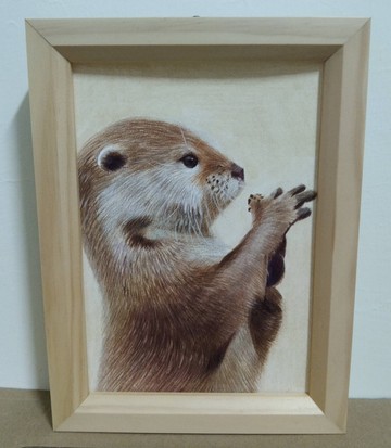 擺設 / 海獺 / 色鉛筆畫 / 原稿 / 含框