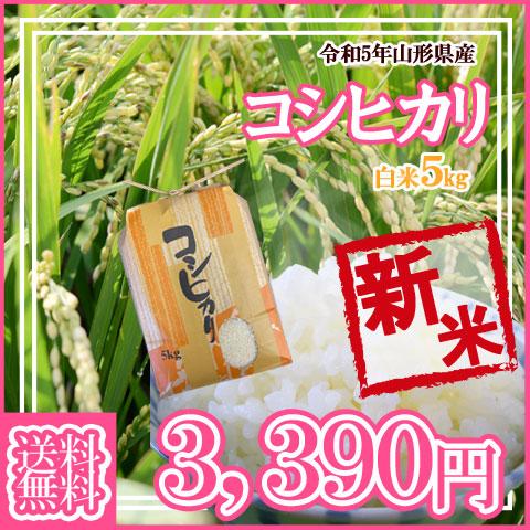 令和5年産 新米 送料無料 山形県産 コシヒカリ 白米 5kg 安全で確かなものを食卓へ 5キロ 五キロ お米 おこめ