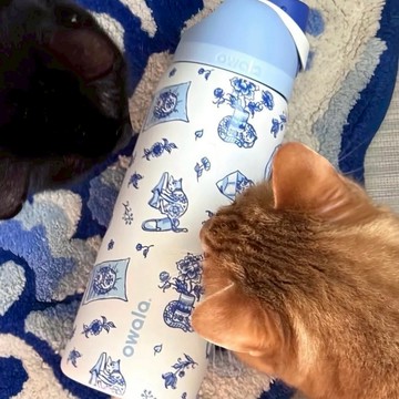 OWALA UO EXCLUSIVE DELFT CAT FREESIP 貓咪印花 不銹鋼 保冰杯 32OZ