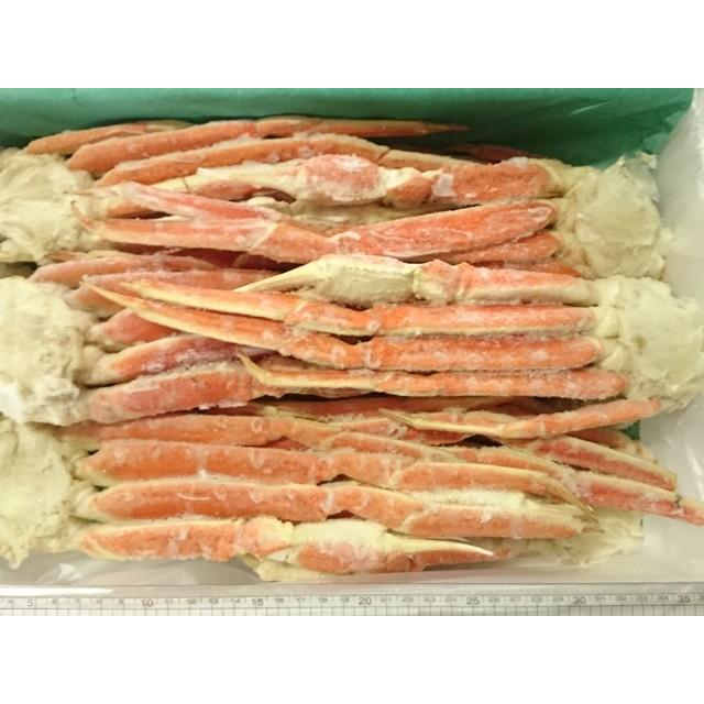 ズワイガニ足 訳あり ボイル 業務用 3kg 詰 ずわいがに脚 送料無料 沖縄県は送料別途加算 御歳暮 クリスマス 正月