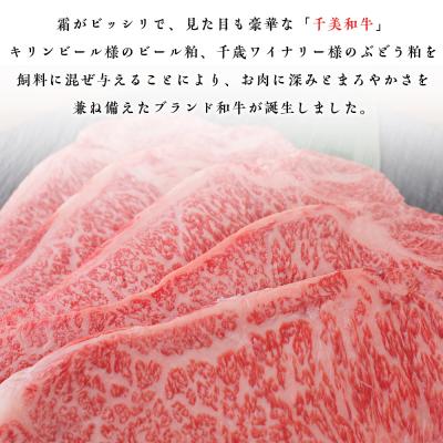 ふるさと納税 千歳市 ちとせ和牛「千美」サーロインステーキ　150g×5枚＜肉の山本＞