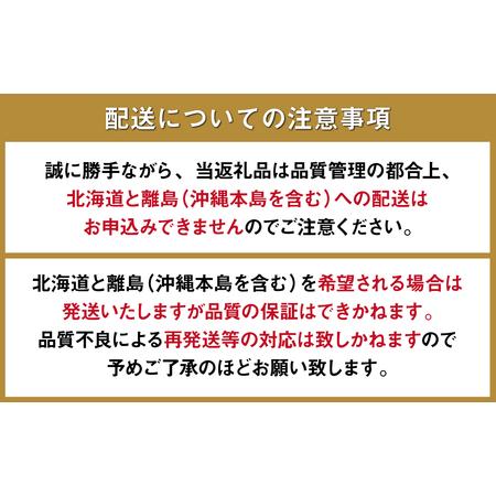 ふるさと納税 フルーツ定期便 旬のフルーツセット  いちご 柑橘類 スイカ メロン 梨 キウイ   南島原市   長崎県農産品.. 長崎県南島原市