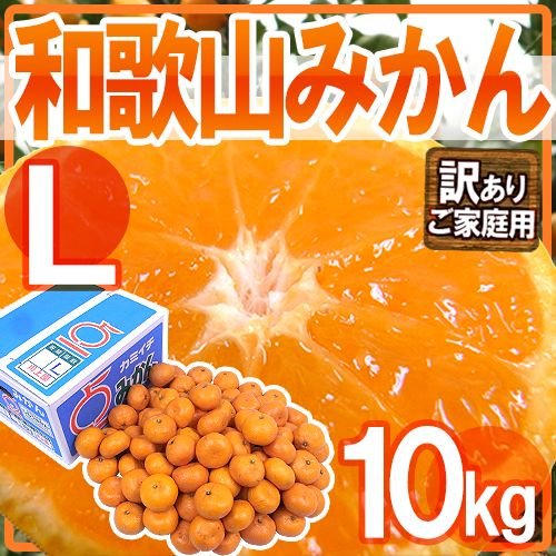 みかん ”和歌山みかん” 訳あり Lサイズ 約10kg 送料無料