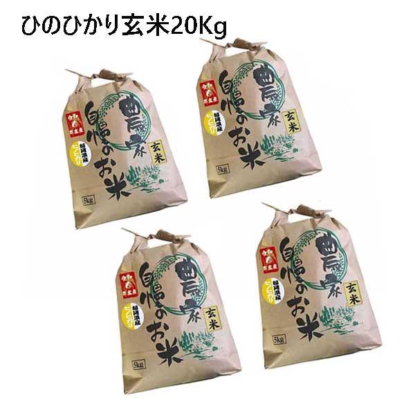 ひのひかり  玄米  20kg (5kg×4袋) ]　令和5年産　福岡県産　農家直送　送料無料　新米