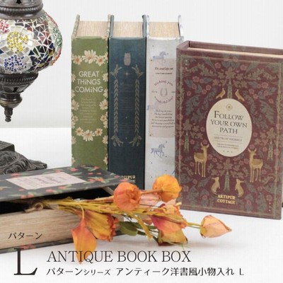 レア フランスアンティーク 洋書 本型 ボックス ケース Amazon.co.jp: 超 レア フランスアンティーク 洋書 本型