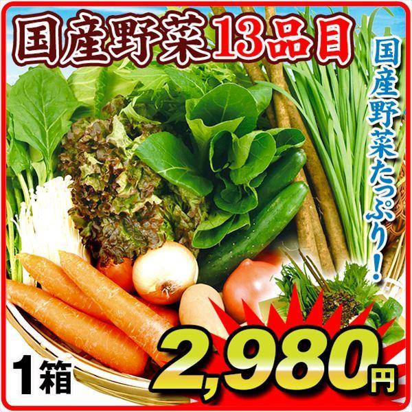 国産野菜13品目セット 1組 冷蔵 ご家庭用 送料無料 食品