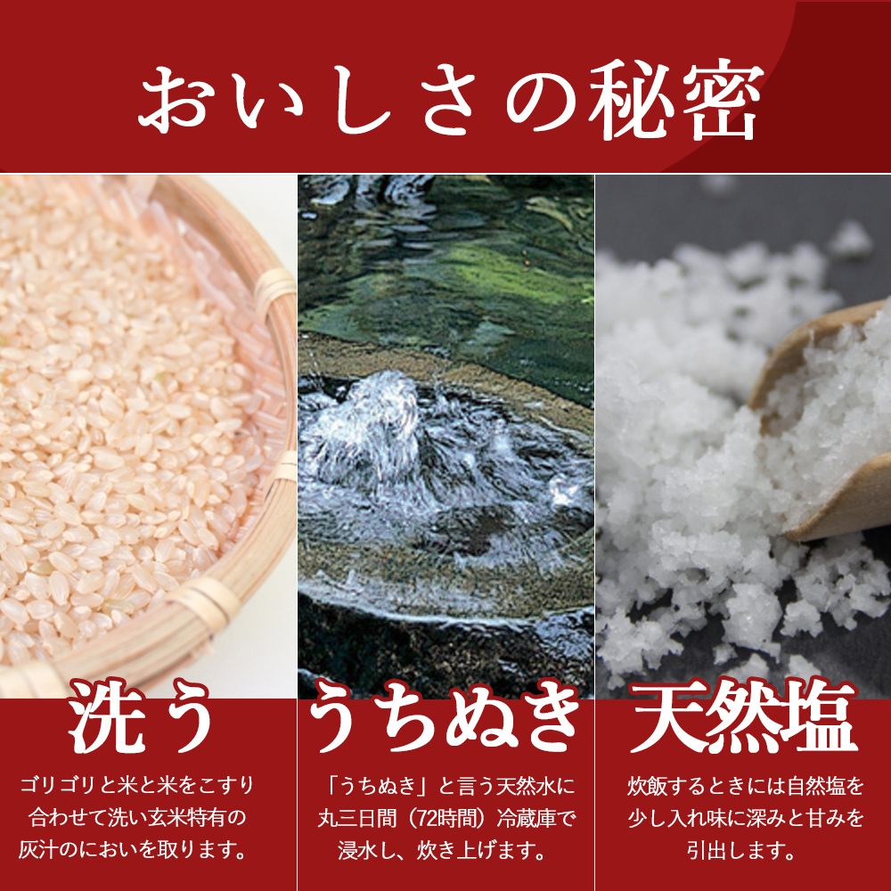 玄米 おにぎり 塩なし焼き海苔 手作り おむすび 冷凍