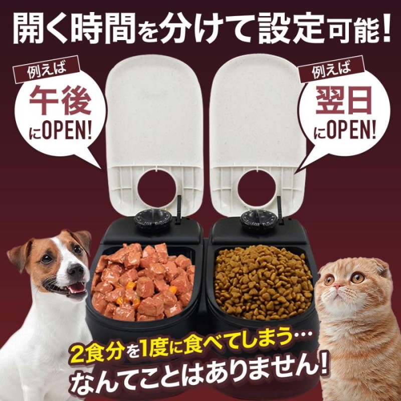 ランキングや新製品 自動給餌器 犬 自動餌やり器 安い 猫 ペット