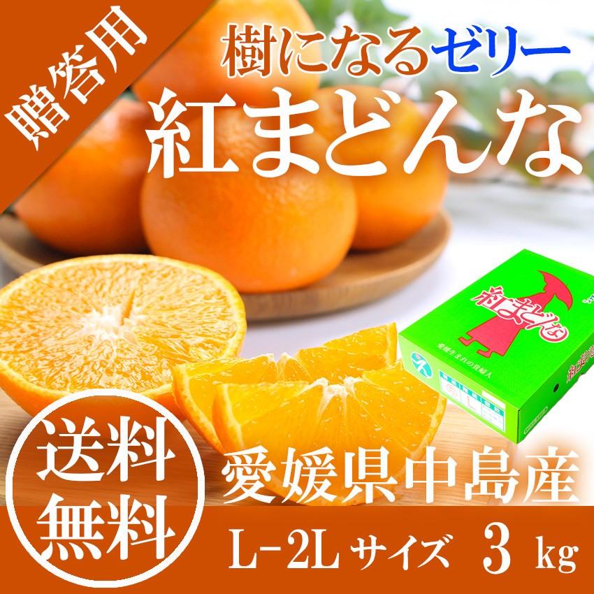 2023 お歳暮 ギフト 紅まどんな 3kg 青秀 L〜２L 12-15玉 中島産 みかん ミカン 贈答用 愛媛県産 御歳暮 紅マドンナ フルーツ