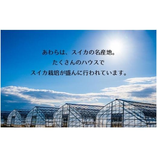 ふるさと納税 福井県 あわら市 大玉スイカ「夏の天使」 1玉入 （L〜2L ）抜群の糖度で甘い！／ 期間限定 果物 フルーツ 西瓜 産地直送 ※2024年7…