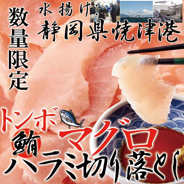 静岡県焼津港水揚げトンボマグロハラミ切り落とし たっぷり500g びんちょう まぐろ