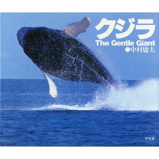 クジラ　The Gentle Giant　＜送料無料＞