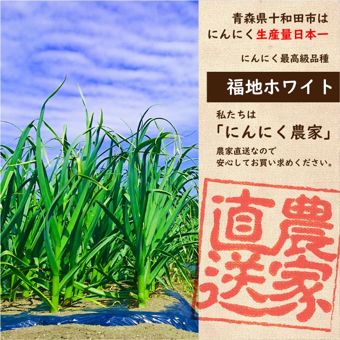 バラ にんにく 青森 2kg バラ 送料無料 青森県産にんにく 2kg バラニンニク 国産