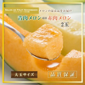 10周年セール！ 青or赤肉メロン 産地厳選 4-5L 2玉 旬の最良メロン