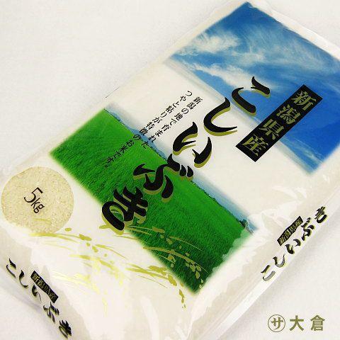 お米 10kg 新潟県産 こしいぶき （ 令和5年産 ） 10kg （5kg×2袋）  白米 玄米 選べます