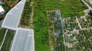⭐阿蓮近市中心⭐都市計畫內紅線方正小農地｜高雄市阿蓮區福蓮段