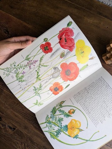 本書採下單後開始尋書/英倫鄉野之花/老書/古書/圖鑑/花藝/禮物