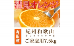 紀州有田産清見オレンジ　7.5kg