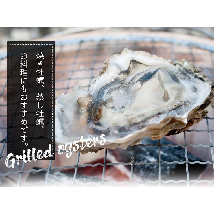 牡蠣 旬凍 生牡蠣 ハーフシェル １０個 生食可 送料無料 殻剥き不要 海鮮 バーベキュー 牡蛎