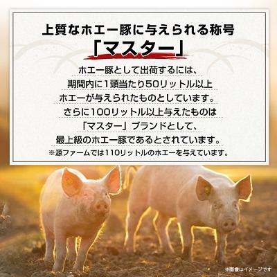 ふるさと納税 大樹町 北海道十勝のグルメ!ホエー豚の豚丼セット(10人前)