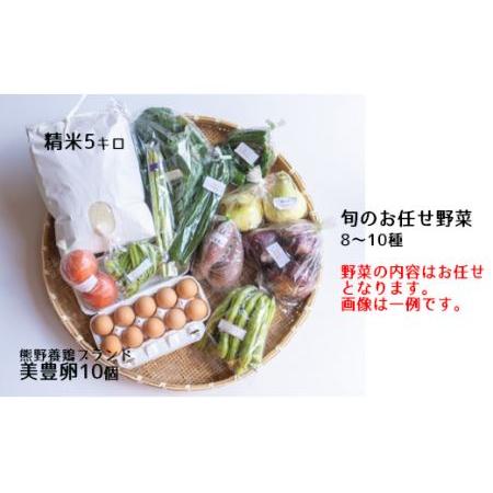 ふるさと納税 たべとうみんの旬菜ボックス（お米付） 愛媛県西条市