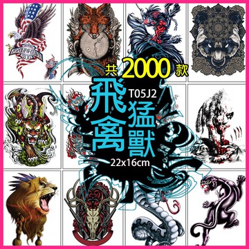 台灣現貨 老鷹 蛇 惡狼花臂系列👑大邱紋身👑【T05J】防水 紋身貼紙 刺青貼紙 紋身貼 刺青貼 半甲 手臂 T05
