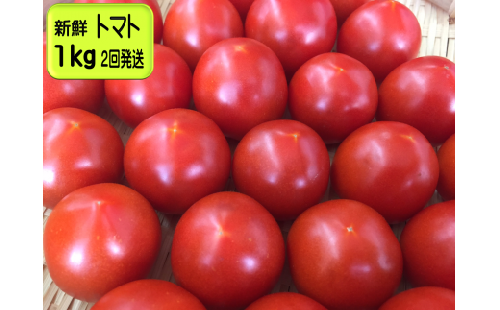 A-40◆愛情たっぷり新鮮トマト１kg