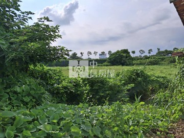 湖內臨省道大面積都內農地｜高雄市湖內區福安段
